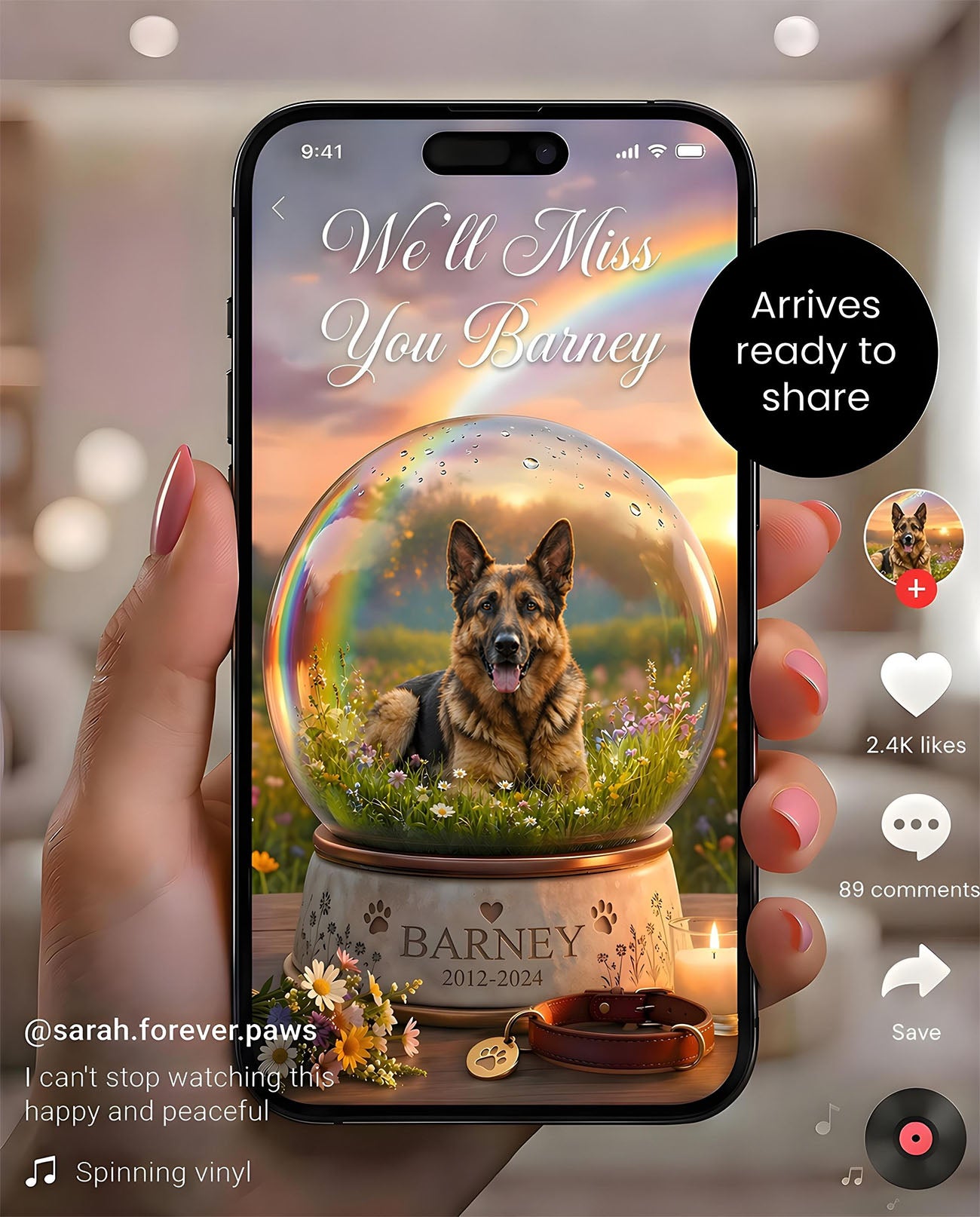 A Beautiful Way to Remember Your Pet — Rainbow Bridge Animated Video
